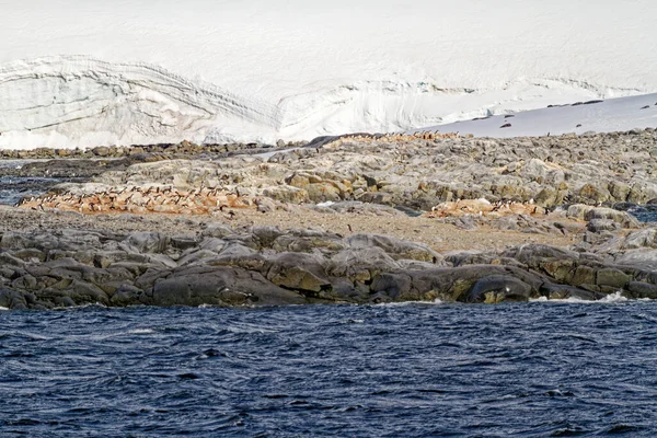 Cruising Antarctica Antarctic Peninsula Palmer Archipelago Neumayer Channel Global Warming — Φωτογραφία Αρχείου