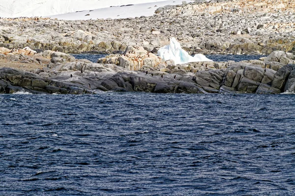 Cruising Antarctica Antarctic Peninsula Palmer Archipelago Neumayer Channel Global Warming — Stockfoto