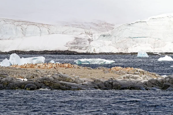 Κρουαζιέρες Στην Ανταρκτική Ανταρκτική Χερσόνησος Palmer Archipelago Κανάλι Neumayer Υπερθέρμανση — Φωτογραφία Αρχείου