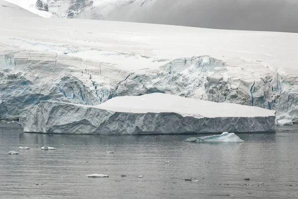 Antarktika - Antarktika Yarımadası - Palmer Takımadası 'nda gezinti. Neumayer Kanalı. Küresel ısınma - Peri masalı manzarası