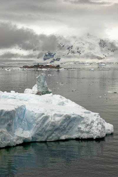 Antarctica Antarctic Peninsula Climate Change Global Warming Pieces Floating Ice — Stock Photo, Image