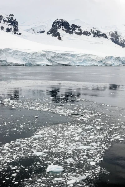 Crociera Antartide Penisola Antartica Arcipelago Palmer Neumayer Channel Riscaldamento Globale — Foto Stock