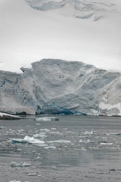 Cruising Antarctica Antarctic Peninsula Palmer Archipelago Телеканал Ноймаєр Глобальне Потепління — стокове фото