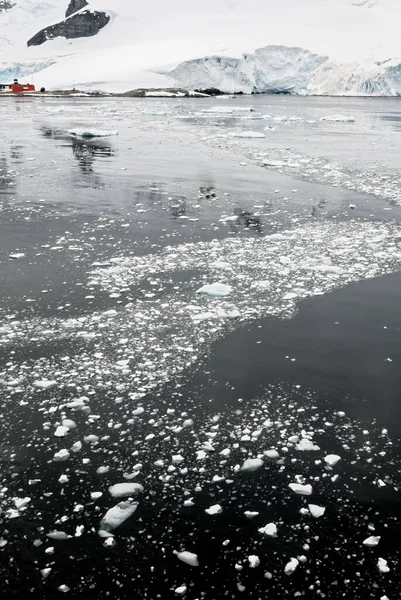 Cruisen Antarctica Antarctisch Schiereiland Palmer Archipel Neumayer Kanaal Opwarming Van — Stockfoto