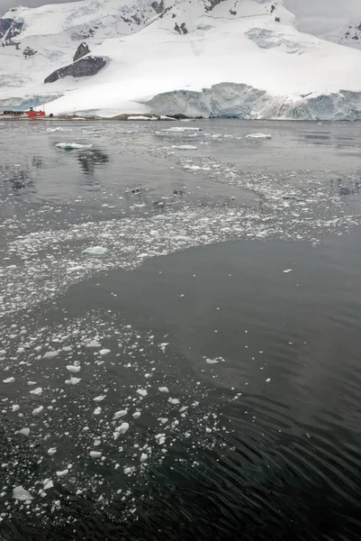 Cruising Antarctica Antarctic Peninsula Palmer Archipelago Телеканал Ноймаєр Глобальне Потепління — стокове фото