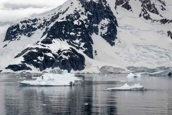 Antarktika Antarktika Yarımadası Palmer Takımadası Nda Gezinti Neumayer Kanalı Küresel — Stok fotoğraf