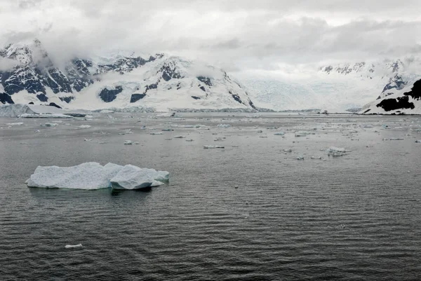 Antarktika - Antarktika Yarımadası - Palmer Takımadası 'nda gezinti. Neumayer Kanalı. Küresel ısınma - Peri masalı manzarası