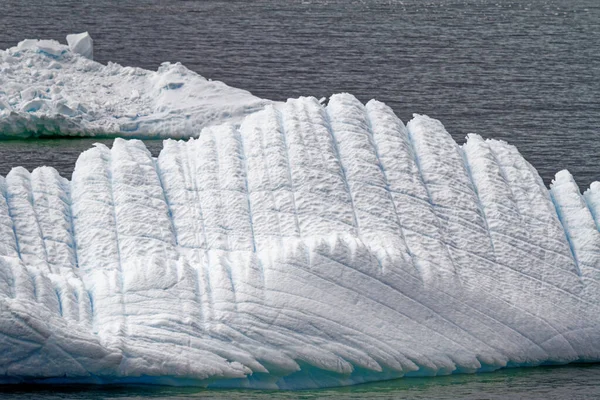 Антарктика Антарктичний Півострів Зміна Клімату Глобальне Потепління Шматки Льоду Плаває — стокове фото