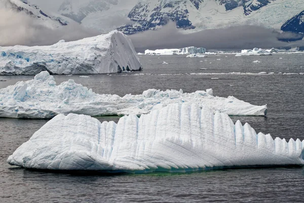 Antártida Península Antártica Cambio Climático Calentamiento Global Trozos Hielo Flotante —  Fotos de Stock