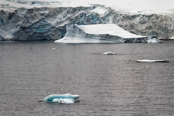 Cruisen Antarctica Antarctisch Schiereiland Palmer Archipel Neumayer Kanaal Opwarming Van — Stockfoto