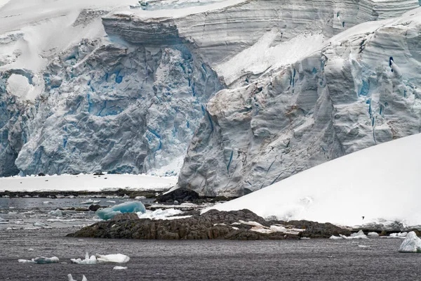 Cruising Antarctica Antarctic Peninsula Palmer Archipelago Телеканал Ноймаєр Глобальне Потепління — стокове фото