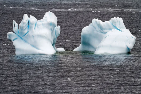 Antarctique Péninsule Antarctique Changement Climatique Réchauffement Climatique Pièces Glace Flottante — Photo