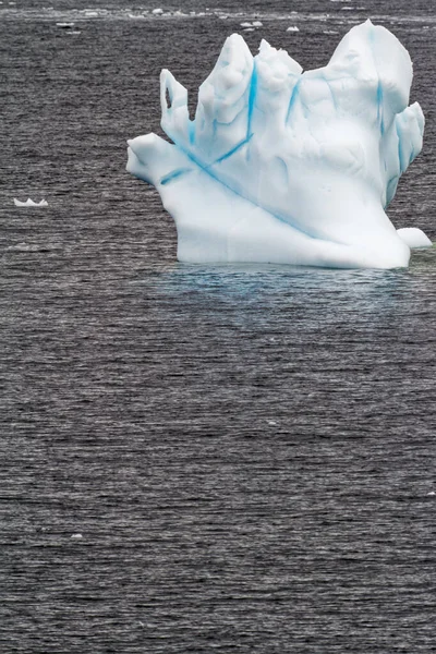 Antarctica Antarctic Peninsula Climate Change Global Warming Pieces Floating Ice — Stock Photo, Image