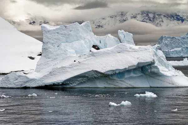 Antártica Península Antártica Mudança Climática Aquecimento Global Pedaços Gelo Flutuante — Fotografia de Stock