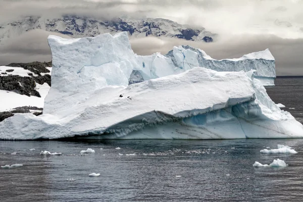 Antarktika - Antarktika Yarımadası. İklim Değişimi - Küresel Isınma. Yüzen Buz Parçaları