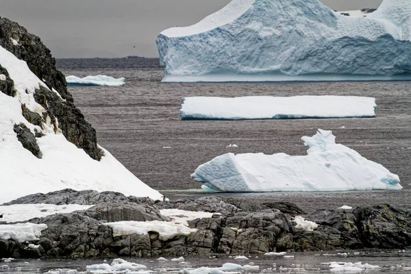 Crociera Antartide Penisola Antartica Arcipelago Palmer Neumayer Channel Riscaldamento Globale — Foto Stock