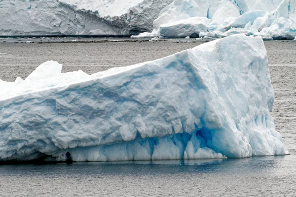 Antarktida Antarktický Poloostrov Změna Klimatu Globální Oteplování Kousky Plovoucího Ledu — Stock fotografie