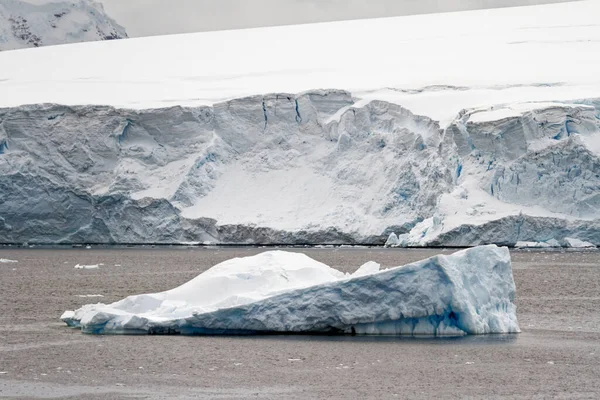 Croisière Antarctique Péninsule Antarctique Archipel Palmer Neumayer Channel Réchauffement Climatique — Photo