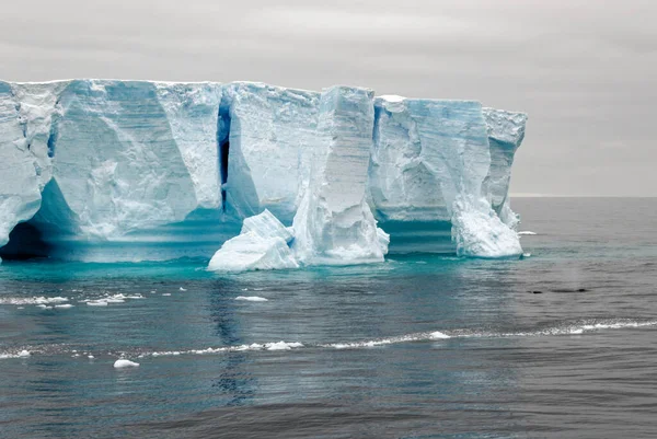 Antarktyda Półwysep Antarktyczny Archipelag Palmera Neumayer Kanał Globalne Ocieplenie Whalein — Zdjęcie stockowe