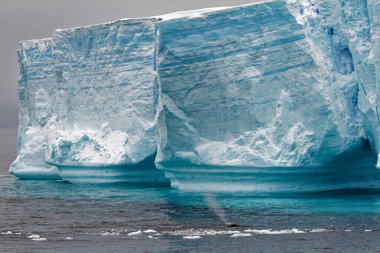 Antarktika - Bransfield Boğazı sekmeli Buzdağı Antarktika Yarımadası - Palmer adalar - Neumayer kanal - küresel ısınma - Whalein önü