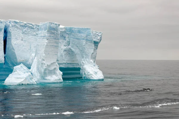 Antártica Península Antártica Arquipélago Palmer Canal Neumayer Aquecimento Global Whalein — Fotografia de Stock