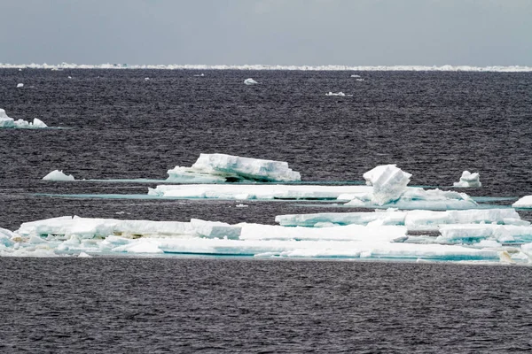 Antarktida Non Tabular Iceberg Drifting Ocean Antarktida Cloudy Day — Stock fotografie