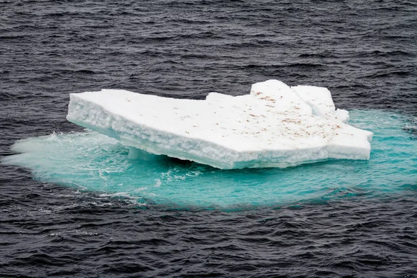 Antarctica Non Tabular Iceberg Drifting Ocean Antarctica Cloudy Day — Zdjęcie stockowe