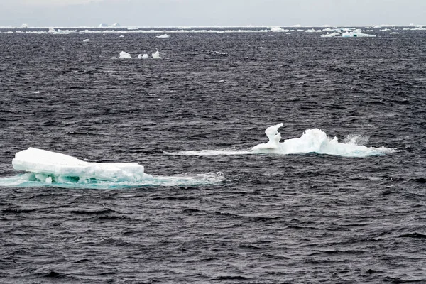 Antarctica Niet Tabelijsberg Drijvend Oceaan Antarctica Een Bewolkte Dag — Stockfoto