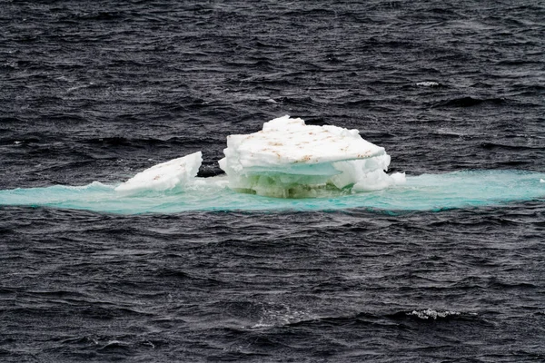 海の中を漂う非表象の氷山 曇りの日の南極 — ストック写真