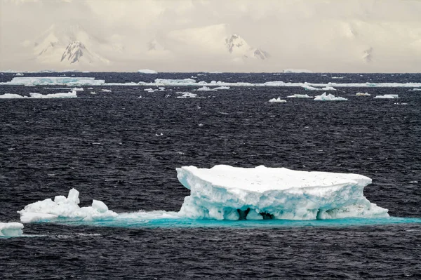 Antarktyda Nietabelaryczna Góra Lodowa Dryfująca Oceanie Antarktyda Pochmurny Dzień — Zdjęcie stockowe