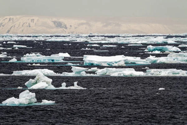 Antarktida Non Tabular Iceberg Drifting Ocean Antarktida Cloudy Day — Stock fotografie