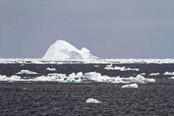 南极洲 在海洋中漂流的非禁忌冰山 在阴天里漂流的南极洲 — 图库照片