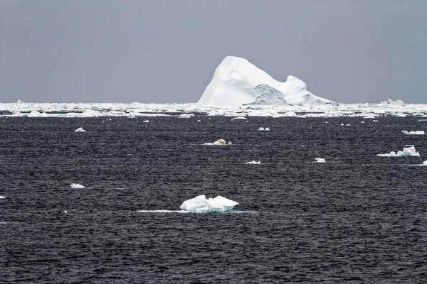 Antarktyda Nietabelaryczna Góra Lodowa Dryfująca Oceanie Antarktyda Pochmurny Dzień — Zdjęcie stockowe