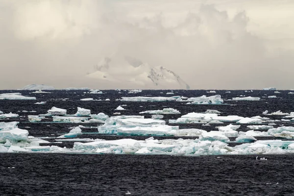 Ανταρκτική Non Tabular Iceberg Drifting Ocean Ανταρκτική Μια Συννεφιασμένη Μέρα — Φωτογραφία Αρχείου