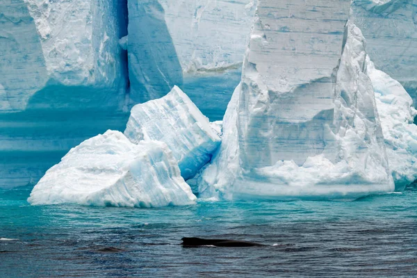 Antártida Península Antártica Archipiélago Palmer Canal Neumayer Calentamiento Global Paisaje — Foto de Stock