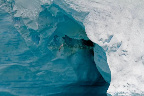 Antarctica Antarctisch Schiereiland Palmer Archipel Neumayer Channel Aardopwarming Sprookjeslandschap Tabelijsberg — Stockfoto