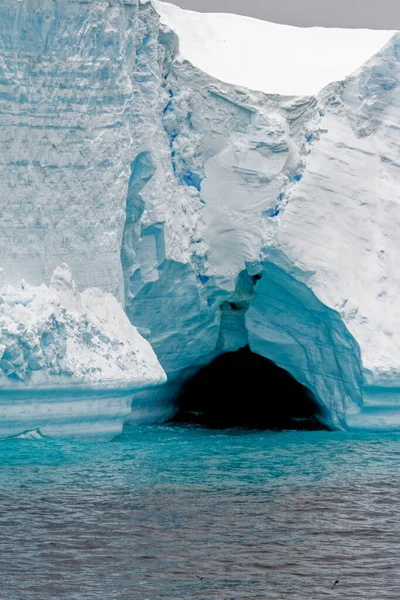 Антарктида Антарктический Полуостров Архипелаг Палмер Ноймайер Глобальное Потепление Сказочный Пейзаж — стоковое фото