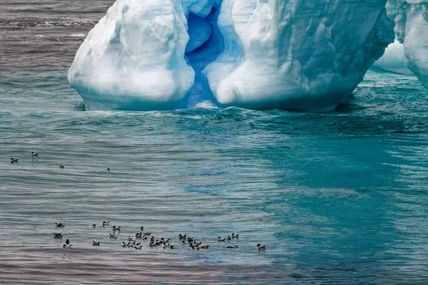 Antarctica Antarctisch Schiereiland Palmer Archipel Neumayer Channel Aardopwarming Sprookjeslandschap Tabelijsberg — Stockfoto