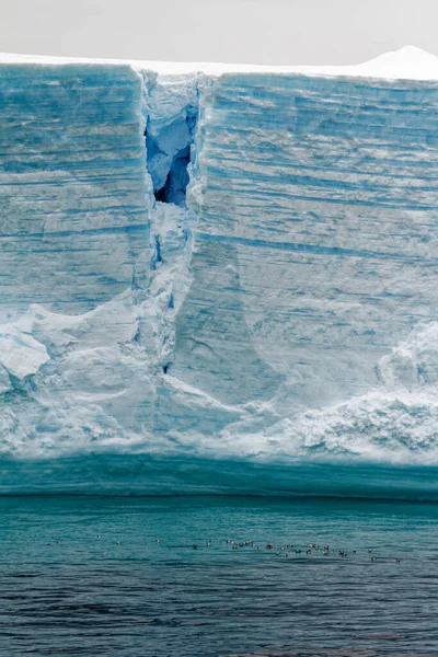 Antártida Península Antártica Archipiélago Palmer Canal Neumayer Calentamiento Global Paisaje —  Fotos de Stock