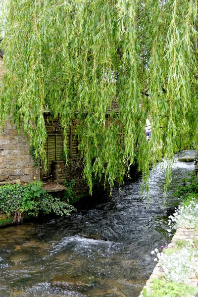 View River Windrush Summer Afternoon Cotswold Village Bourton Water Gloucestershire — Stok fotoğraf