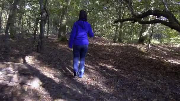 Primavera Del Bosque Niña Caminando Bosque Savernake Bosque Más Grande — Vídeos de Stock