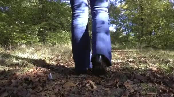 Primavera Del Bosque Niña Caminando Bosque Savernake Bosque Más Grande — Vídeo de stock