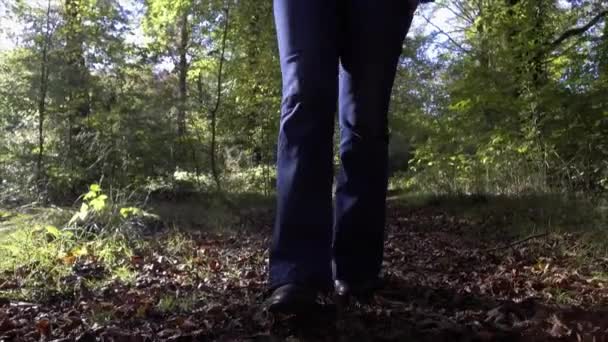 Вудланд Спринг Девочка Гуляла Лесу Сакейк Самом Большом Лесу Англии — стоковое видео