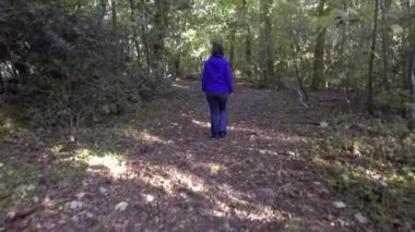 Orman pınarı. İngiltere 'nin en büyük ormanı olan Savernake Ormanı' nda yürüyen genç kız Wiltshire, Birleşik Krallık 21.10.2018
