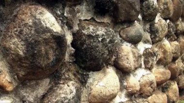 Izapa, Mexico, State of Chiapasis 10th of September 2013 - Very large pre-Columbian archaeological site. Situated on the Izapa River, a tributary of the Suchiate River