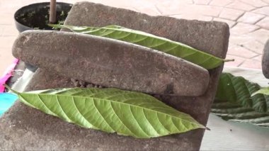 Making artisanal chocolate - Market street in Tapachula, Mexico, State of Chiapasis 10th of September 2013