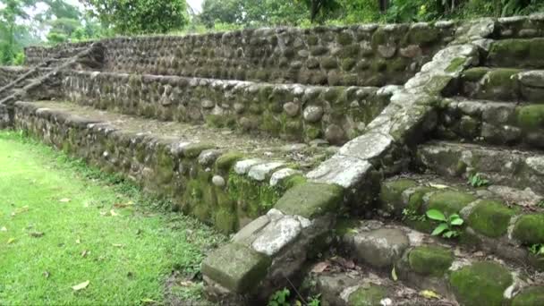 Izapa Mexico State Chiapasis Вересня 2013 Дуже Велика Археологічна Ділянка — стокове відео