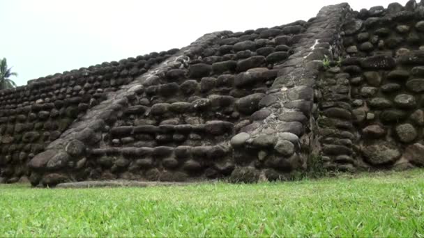 Izapa Mexico State Chiapasis 10Th September 2013 Very Large Pre — Video