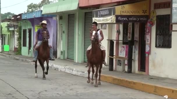 Riding Horse Street Tapachula Mexico State Chiapasis 10Th September 2013 — Stockvideo