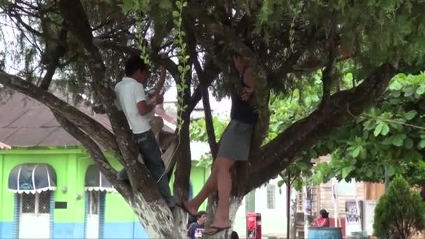 Street Market Tapachula Mexico State Chiapasis 10Th September 2013 — 图库视频影像